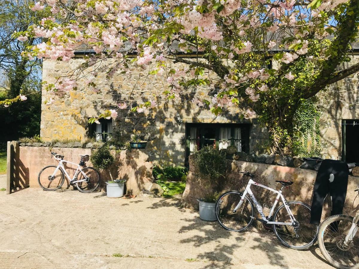 The Barn, Higher Boden, Manaccan, Helston, Cornwall Buitenkant foto